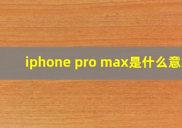 iphone pro max是什么意思